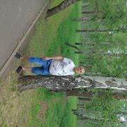 ���������� �������, ���� ������� ���������, 48 ���, ������������ ��� ������, ����� � ���������