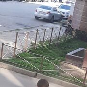 ���������� ���������� �����, ���� ������� Kadri, 33 ����, ������������ ��� ������, ����� � ���������