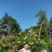 ���������� ���������, ���� ������� �����, 54 ����, ������������ ��� ������, ����� � ���������