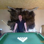  ,   , 53 ,   ,   , c 