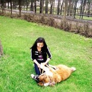  ,   Kani, 31 ,   ,   , c 