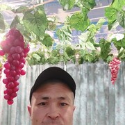  ,   , 41 ,   ,   