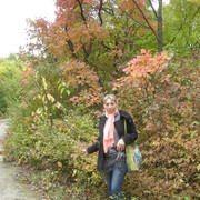 ���������� �������, ���� ������� ���, 46 ���, ������������ ��� ����� � ���������, c�������� ���������