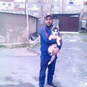 ���������� ������, ���� ������� �����, 37 ���, ������������ ��� ����� � ���������, c�������� ���������