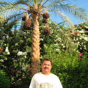  ,   , 62 ,  