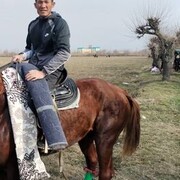 ���������� ������-��-����, ���� ������� ������, 41 ���, ������������ ��� c�������� ���������