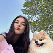 ���������� �����������, �����