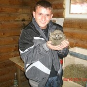 ���������� ��������, ���� ������� �������, 36 ���, ������������ ��� ������, ����� � ���������