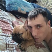  -,   , 37 ,   ,   