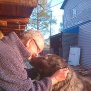 ���������� �����������-��-�����, ���� ������� ���������, 59 ���, ������������ ��� c�������� ���������, ���������