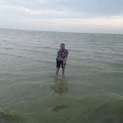 ���������� ������, ���� ������� ������, 50 ���, ������������ ��� ������, ���������