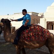 ���������� �������, ���� ������� ������, 41 ���, ������������ ��� ������, ����� � ���������