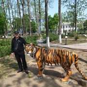  ,   , 54 ,   ,   