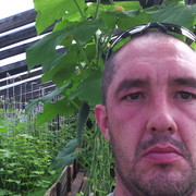  ,   , 47 ,   