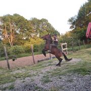  ,   Muslim, 36 ,   ,   