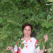  ,   , 53 ,   ,   , c , 