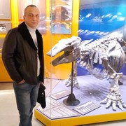  -,   , 50 ,   