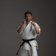 ���������� �������, ���� ������� �������, 36 ���, ������������ ��� ������, ����� � ���������, c�������� ���������