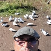  ,     , 44 ,   ,   