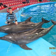  ,   Pasha, 38 ,   