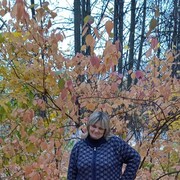 ���������� ������ ��������, ���� ������� �����, 50 ���, ������������ ��� ������, ����� � ���������, c�������� ���������