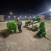 ���������� ��������, ���� ������� ˸��, 52 ����, ������������ ��� ������