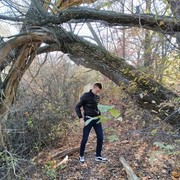 ���������� �������, ���� ������� ������, 29 ���, ������������ ��� ������, ����� � ���������, c�������� ���������