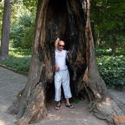  ,   Nikola, 44 ,  