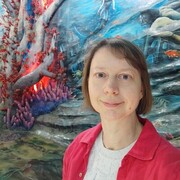 ���������� �����, ���� ������� �����, 49 ���, ������������ ��� ����� � ���������, c�������� ���������