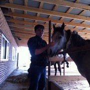 ���������� �������, ���� ������� ���, 38 ���, ������������ ��� ������