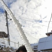  ,   , 38 ,     , c 