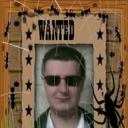   ,   LEX, 38 ,   