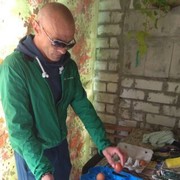  ,   , 53 ,   ,   , c 