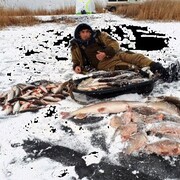 ���������� ��������, ���� ������� �������, 38 ���, ������������ ��� ������, ����� � ���������