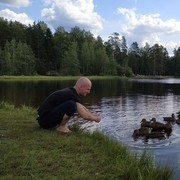 ���������� �����-���������, ���� ������� �����, 36 ���, ������������ ��� ������, ����� � ���������, c�������� ���������