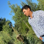 ���������� ������, ���� ������� �����, 31 ���, ������������ ��� ������, ����� � ���������, c�������� ���������, ���������