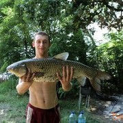   ,   Kolya, 39 ,   
