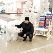 ���������� ���������, ���� ������� �������, 40 ���, ������������ ��� ������, ����� � ���������, c�������� ���������