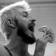 ���������� ����, ���� ������� ������, 40 ���, ������������ ��� ������