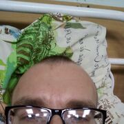 ���������� ����������, ���� ������� ��������, 37 ���, ������������ ��� ������, ����� � ���������, c�������� ���������