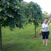  ,   , 59 ,   ,   , c 