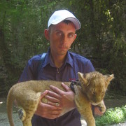 ���������� ������ ��������, ���� ������� Val013, 41 ���, ������������ ��� ������