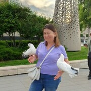  ,   Reggi, 54 ,   c 