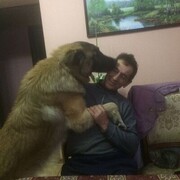  ,   , 53 ,   ,   