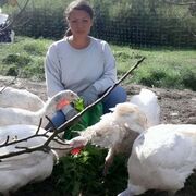  ,   , 37 ,   ,   , c , 