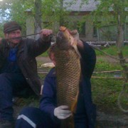  ,   , 56 ,   ,   , c 