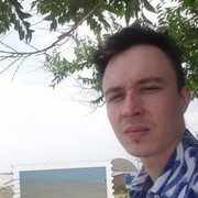  ,   , 33 ,   