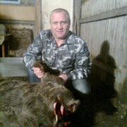 ���������� ������, ���� ������� �������, 52 ����, ������������ ��� ������, ����� � ���������, c�������� ���������