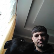  -,   , 44 ,   ,   , c 