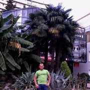 ,   , 43 ,   